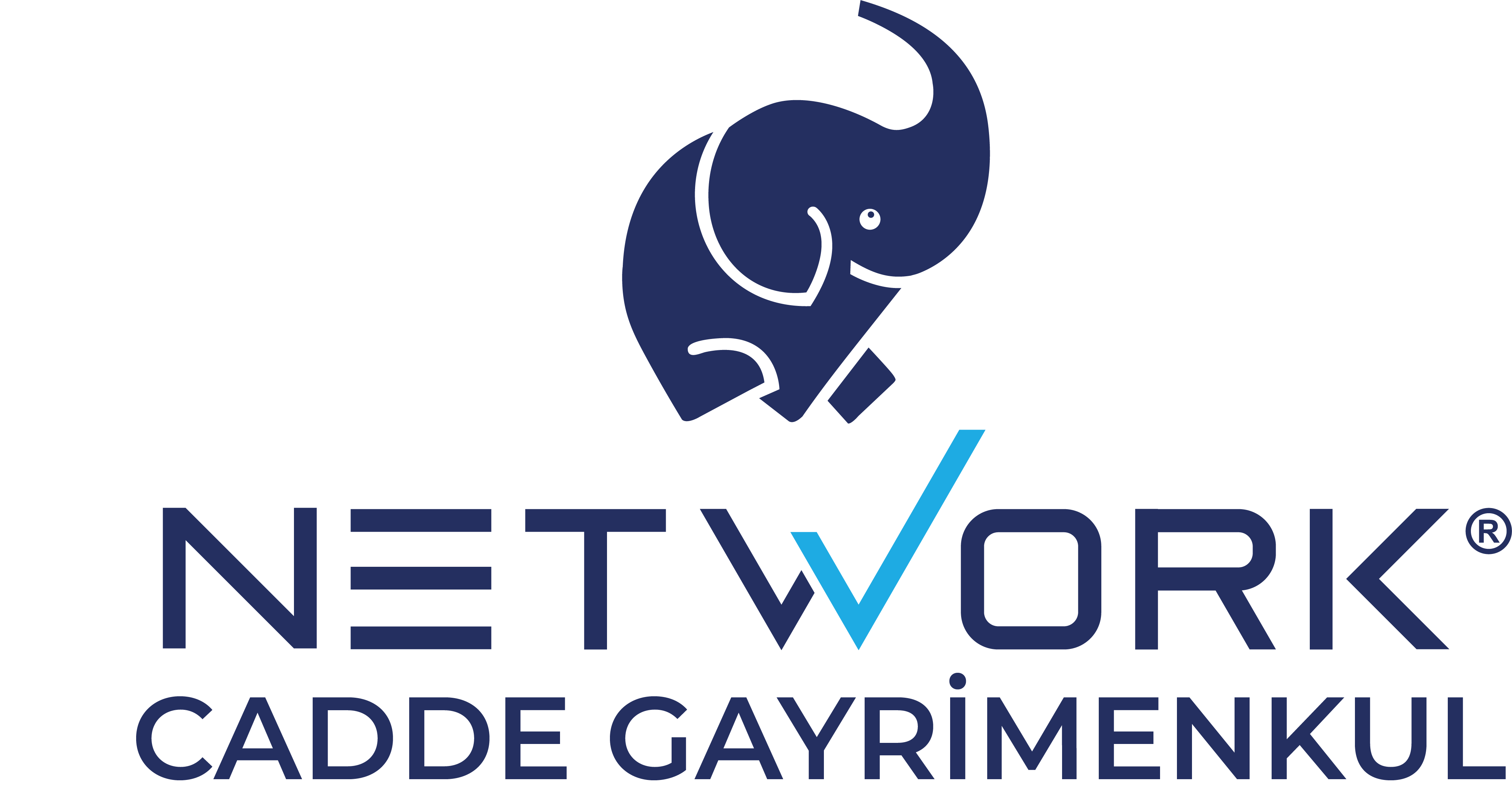 Network Cadde Gayrimenkul