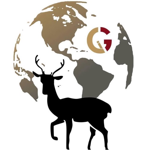 Ceylan İnşaat Grup Gayrimenkul