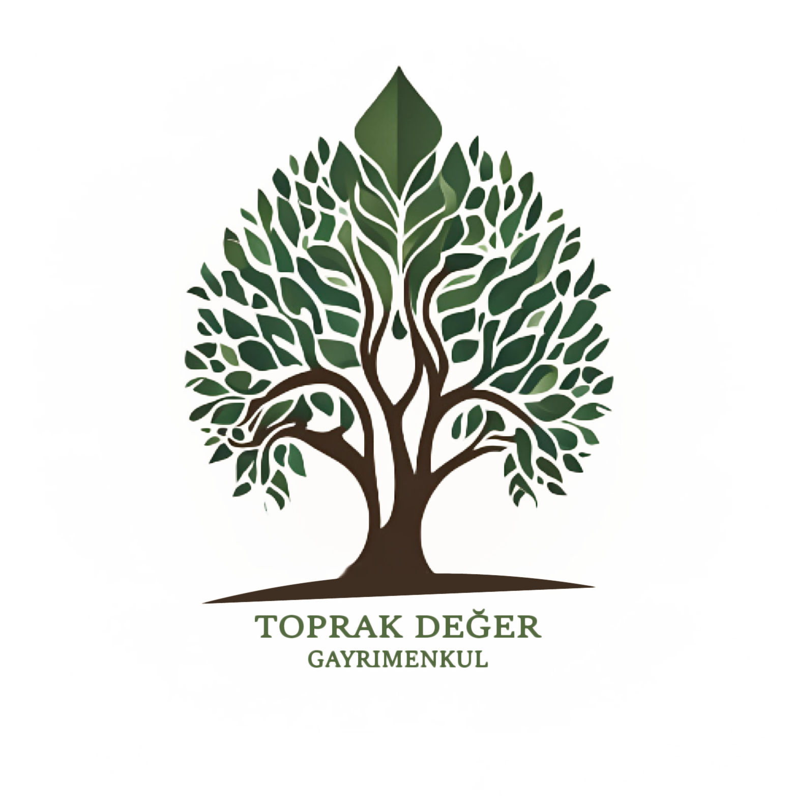 Toprak Değer Gayrimenkul Ve Danışmanlık
