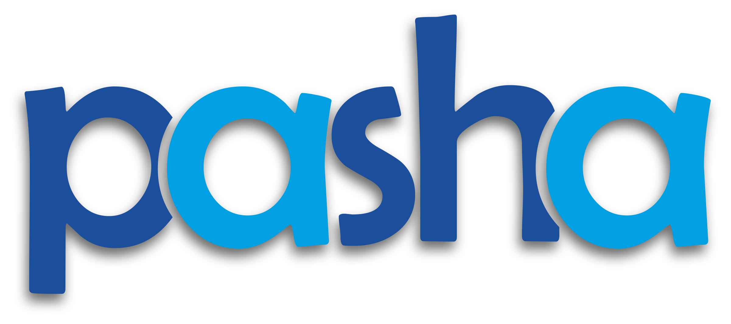 Pasha Gayrimenkul