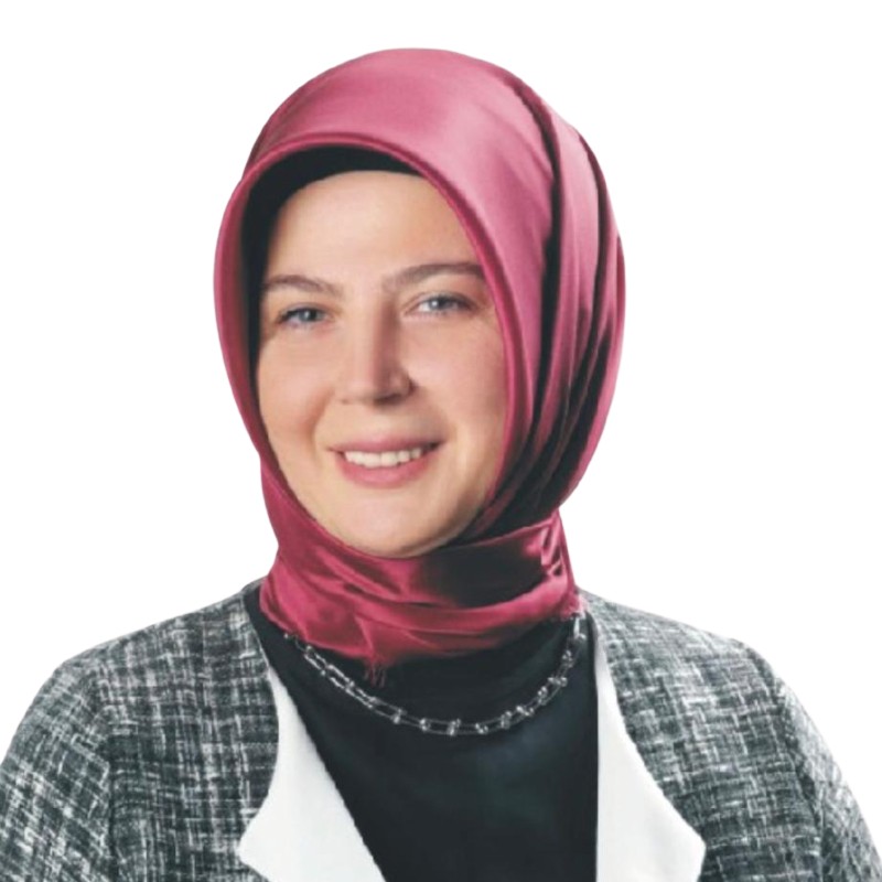 Hilal Demir