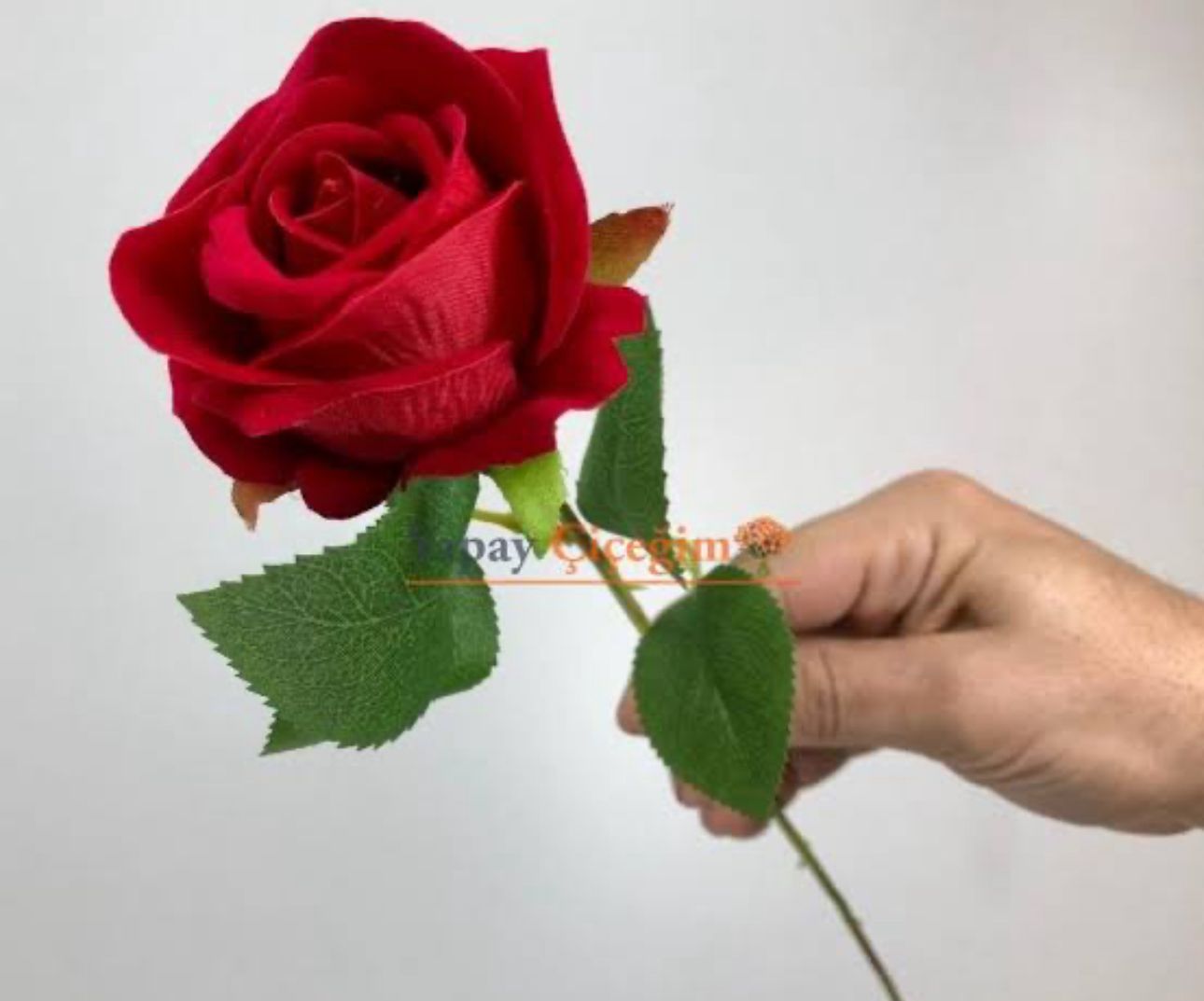 ROSE EMLAK