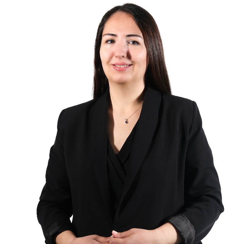Hande Akbulut