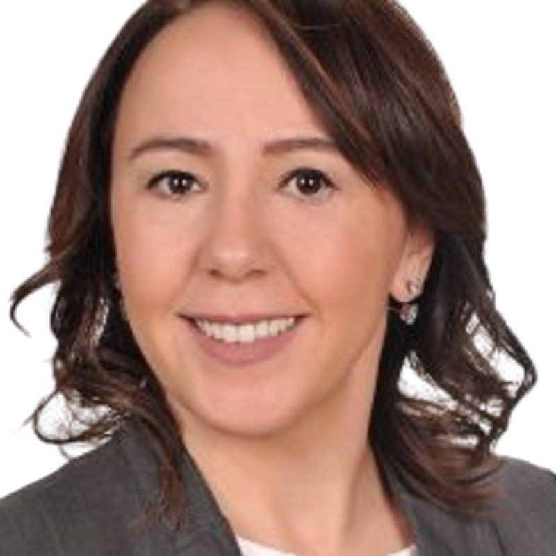 Serpil Emek