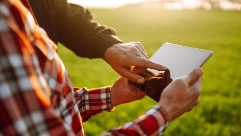 Tarla ve Arsa Arasındaki Farklar Nelerdir? - Endeksa