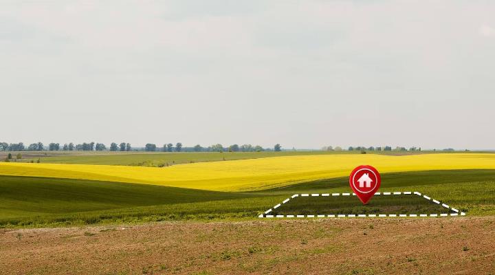 Tarla mı, Arsa mı? Doğru Arazi Yatırımı Nasıl Yapılır?