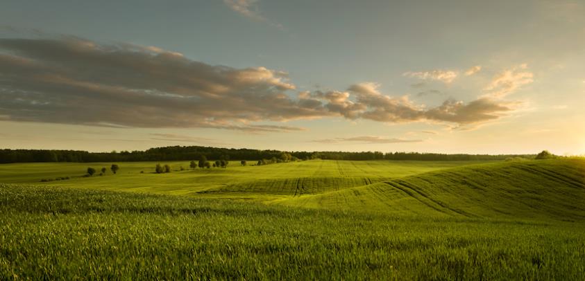 Record in Land and Field Sales Reflected in Prices